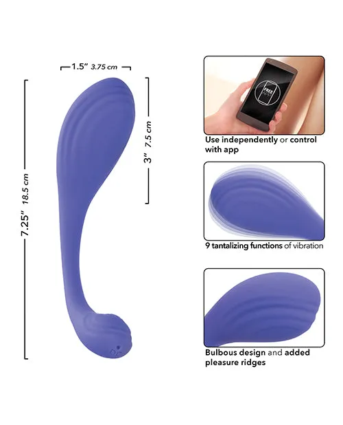 Connect App Based Kegel Exerciser California Exotic Novelties Female Sex Toys