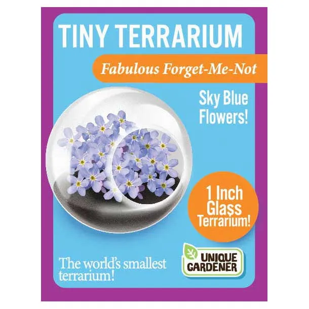 Tiny Terrarium Flowering Plants Fabulous ForgetMeNot iloveexcitement Vibrators